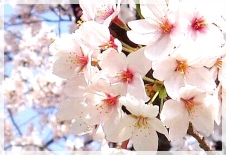 photono11.jpg